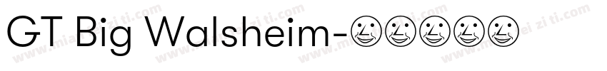 GT Big Walsheim字体转换